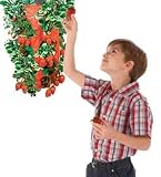 Upside Down Tomato Planter 315nSFVALhL. SL160 Upside Down Tomato Planter