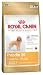 ロイヤルカナン BHN プードル 成犬・高齢犬用 1.5Kg