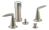 Kohler K-45135-4-BN Alteo Bidet Faucet, Vibrant Brushed Nickel