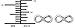 Stainless Steel Infinity Symbol Stud Earrings for Kids