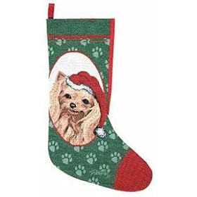 yorkshire terrier stocking