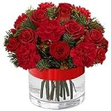 Carnation - Crimson Desire