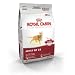 Royal Canin Feline Health Nutrition Adult Fit 32 Dry Cat Food