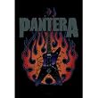 Pantera Guitar Flames Cloth Fabric Poster Flag