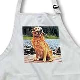 Dogs Golden Retriever - Golden Retriever - Aprons