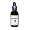 Dr. Garber's Natural Solutions for Depression