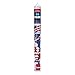 PLUS PLUS - Open Play - Patriotic Tube - 70 pc