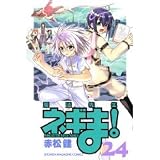 Magister Negi Magi Volume 24 (in Japanese)