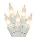 Set of 100 White Frosted Mini Christmas Lights - White Wire