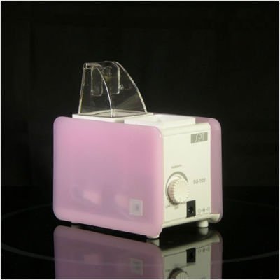 Mini Humidifier in Pink