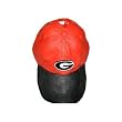 University of Georgia Bulldogs Baseball Cap Birdhouse