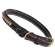Zack & Zoey Pharaoh Dog Collar 11-14 Inches - Gold-linked Studded