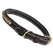 Zack & Zoey Pharaoh Dog Collar 11-14 Inches - Gold-linked Studded