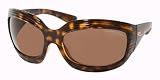 RALPH LAUREN SUNGLASSES - RALPH LAUREN RL 8033 5057-73 DARK HAVANA BROWN LENS SUNGLASSES