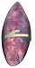 CUTTLEBONE GRAPE FLAVORED WITH METAL CLIP