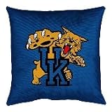 Kentucky Wildcats Locker Room Floor Pillow (22x22)
