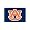 Auburn Tigers