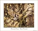Faerie Journals Art Print - Anam & Cara, "Soul Friends"