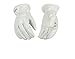 Kinco Pearl Grain Goatskin Driver