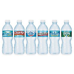 Nestle Bottled Water 16.9oz Per Bottle, 24 Bottle Case (Brand Varies By Region)