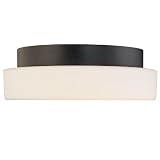 Sonneman 4159.13 Surface Flush Mount Ceiling Light