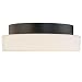 Sonneman 4159.13 Surface Flush Mount Ceiling Light