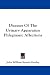 Book Diseases Of The Urinary Apparatus: Phlegmasic Affections