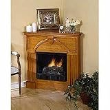 Jet-Fuel Fireplaces