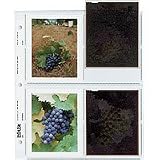 Print File Archival Negative Pages Holds Eight 4