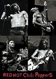 RED HOT CHILI PEPPERS Live Collage Music Poster