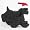 Cocker Spaniel (Black)
