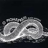 Black Mambas