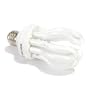 Evolution 25 Watt CF Full Spectrum Fluorescent Bulb