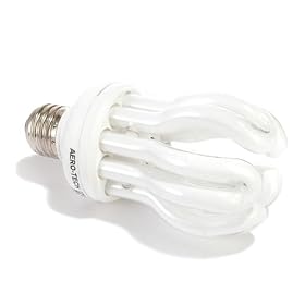Evolution 25 Watt CF Full Spectrum Fluorescent Bulb