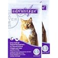 Advantage for Cats 9-18 lbs, Purple 12 Pack