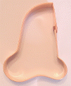 Nose