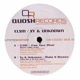 CLSM / SY & UNKNOWN / FREE YOUR MIND / MAKE IT BOUNCE (REMIXES)