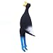 Kyjen Squawkie Talkie - Toucan