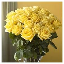 Organic Bouquet Roses, Yellow Sunshine, Two Dozen, 1 ea
