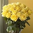 Two Dozen Yellow Sunshine Roses, Eco-Friendly - Veriflora Certified, Yellow Rose Bouquet