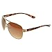 SWG Eyewear Premium Sunglasses UV400 Gold Frame Fashion pilot Amber Gradient Lens
