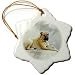 Bullmastiff - 3 Inch Snowflake Porcelain Ornament