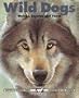 Wild Dogs : Wolves, Coyotes and Foxes (Kids Can Press Wildlife Series)