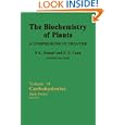 Carbohydrates, Volume 14 (Biochemistry of Plants) by Walter Stumpf, P. Michael Conn, and Jack Preiss