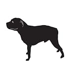 Terrier Dog Pet Staffordshire Bull Terrier Car Truck Vehicle Bumper Helmet Decal Sticker Wall Art Laptop Design Skin Stickers