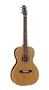 Seagull Coastline Grand Guitar