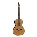 Seagull Coastline Grand Guitar