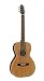 Seagull Coastline Grand Guitar