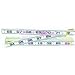 Cooper Tools 066F Regular Folding Rule