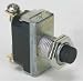 Power First 2VLP7 Push Switch, Momentary, SPST, 16/10A